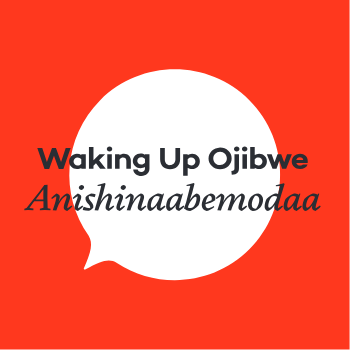 Basic Anishinaabemowin Grammar Series – Waking Up Ojibwe