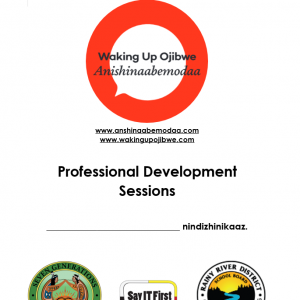 title page for Professional Development Sessions
