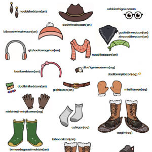 illustration of various types of winter clothing
