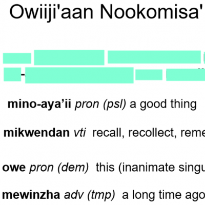 Owiiji'aan Nokkomisa'